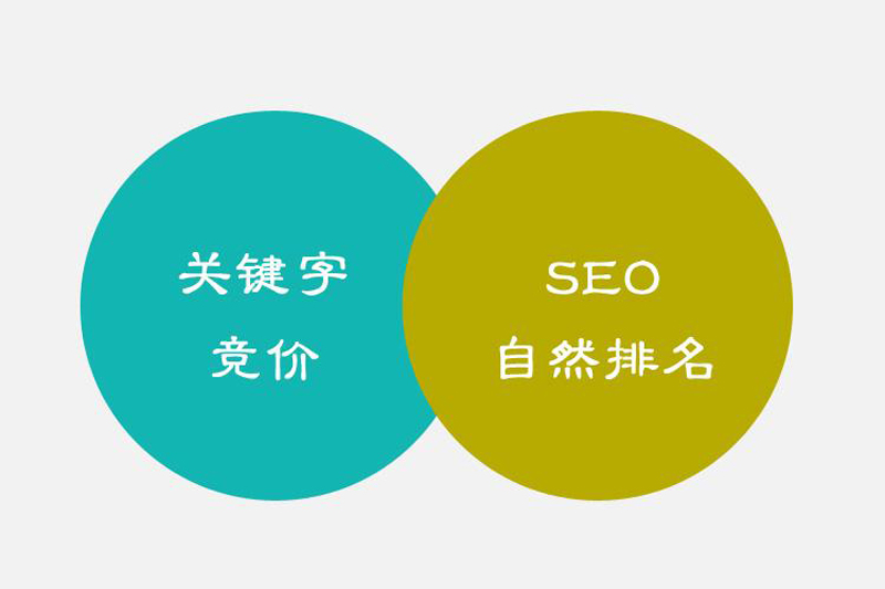 成都SEO網站優化公司哪家好.jpg